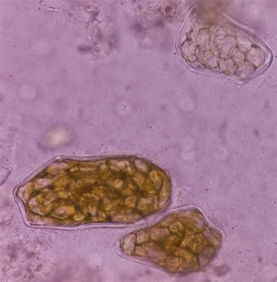 Giardia Lamblia: Süzülen ve Yutulan Bir İnceleme!